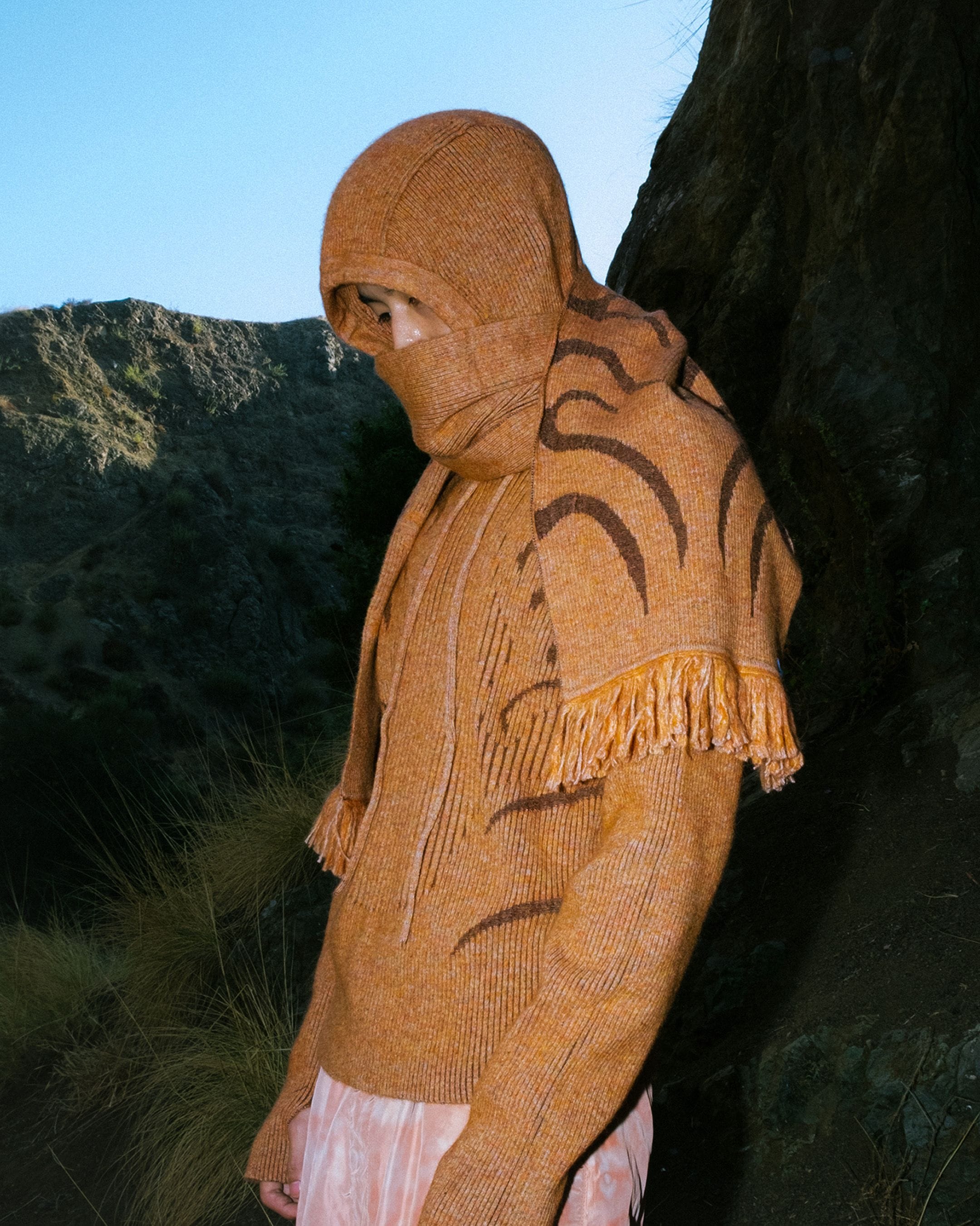 project assets image