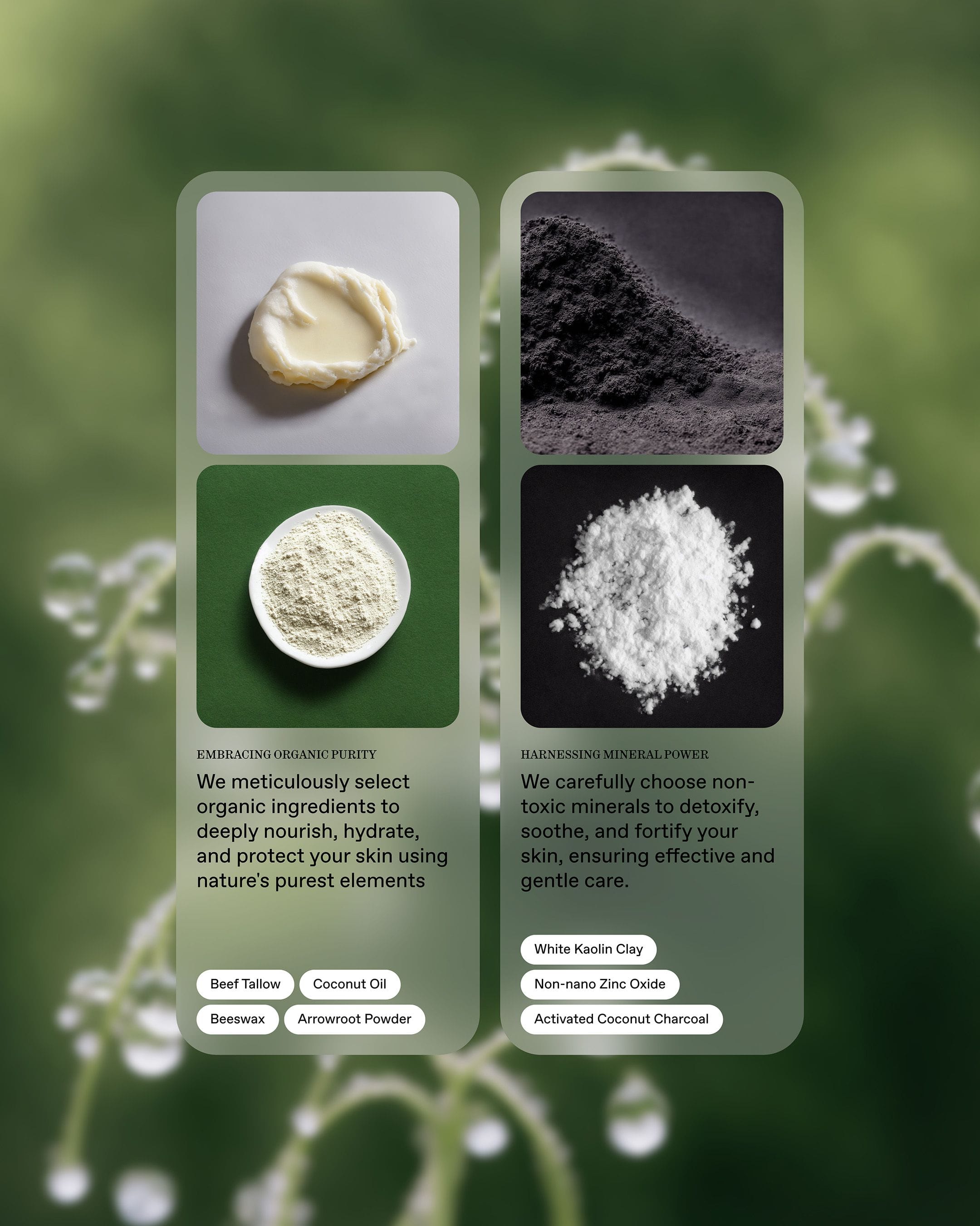 project assets image