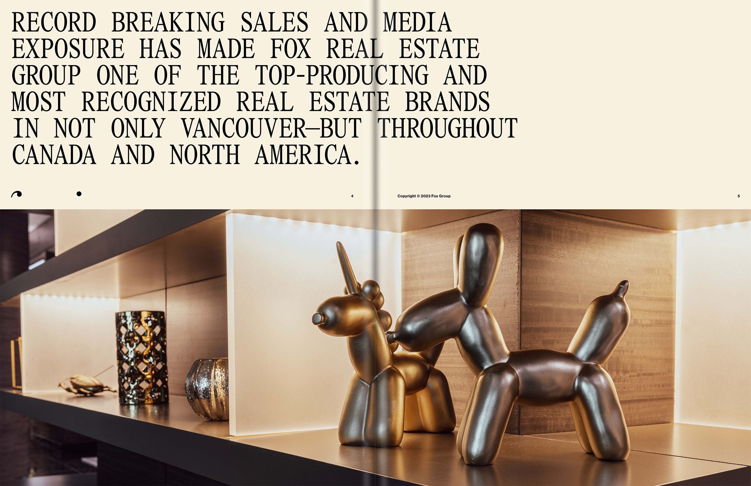 project assets image