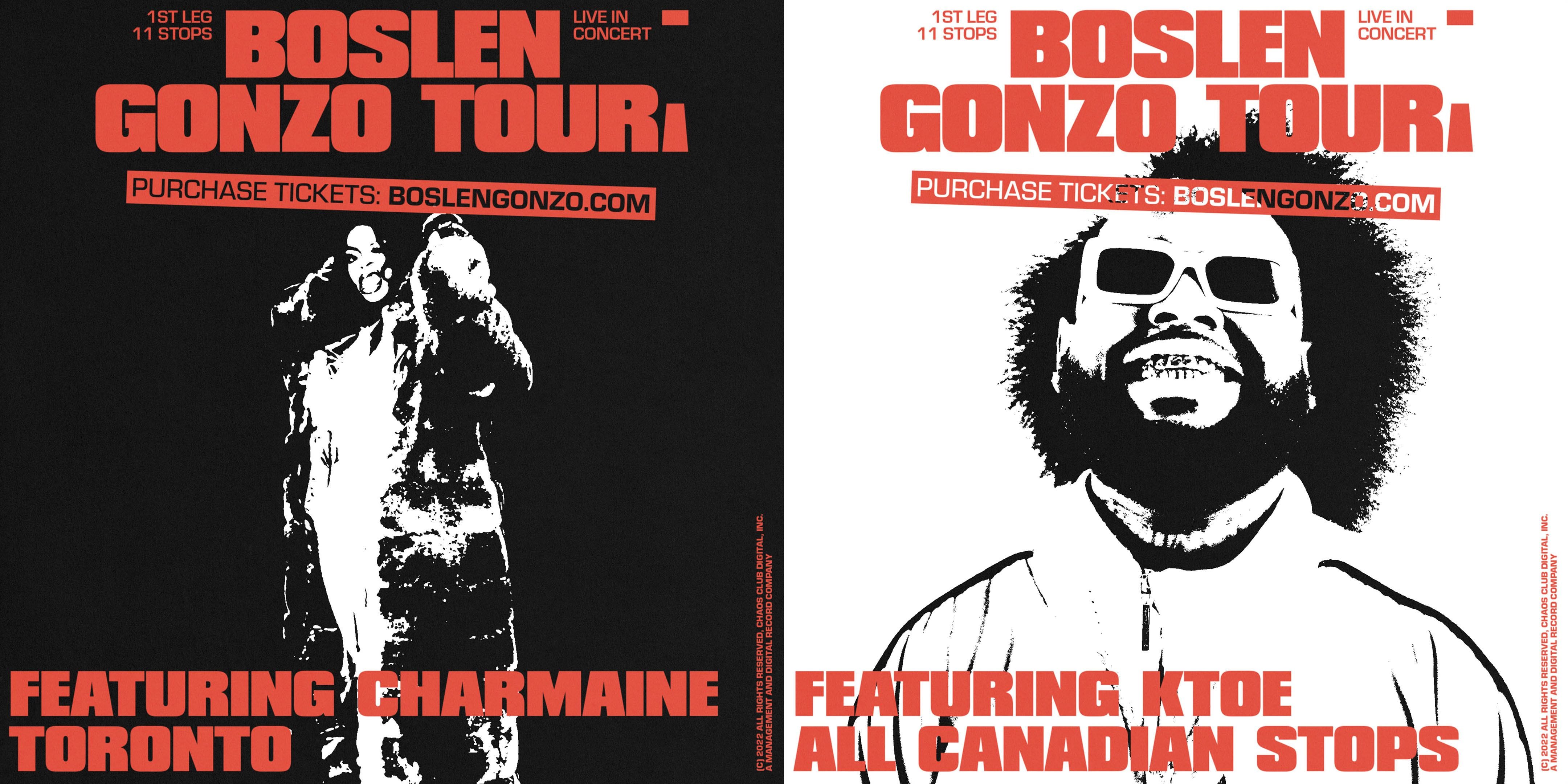 project assets image