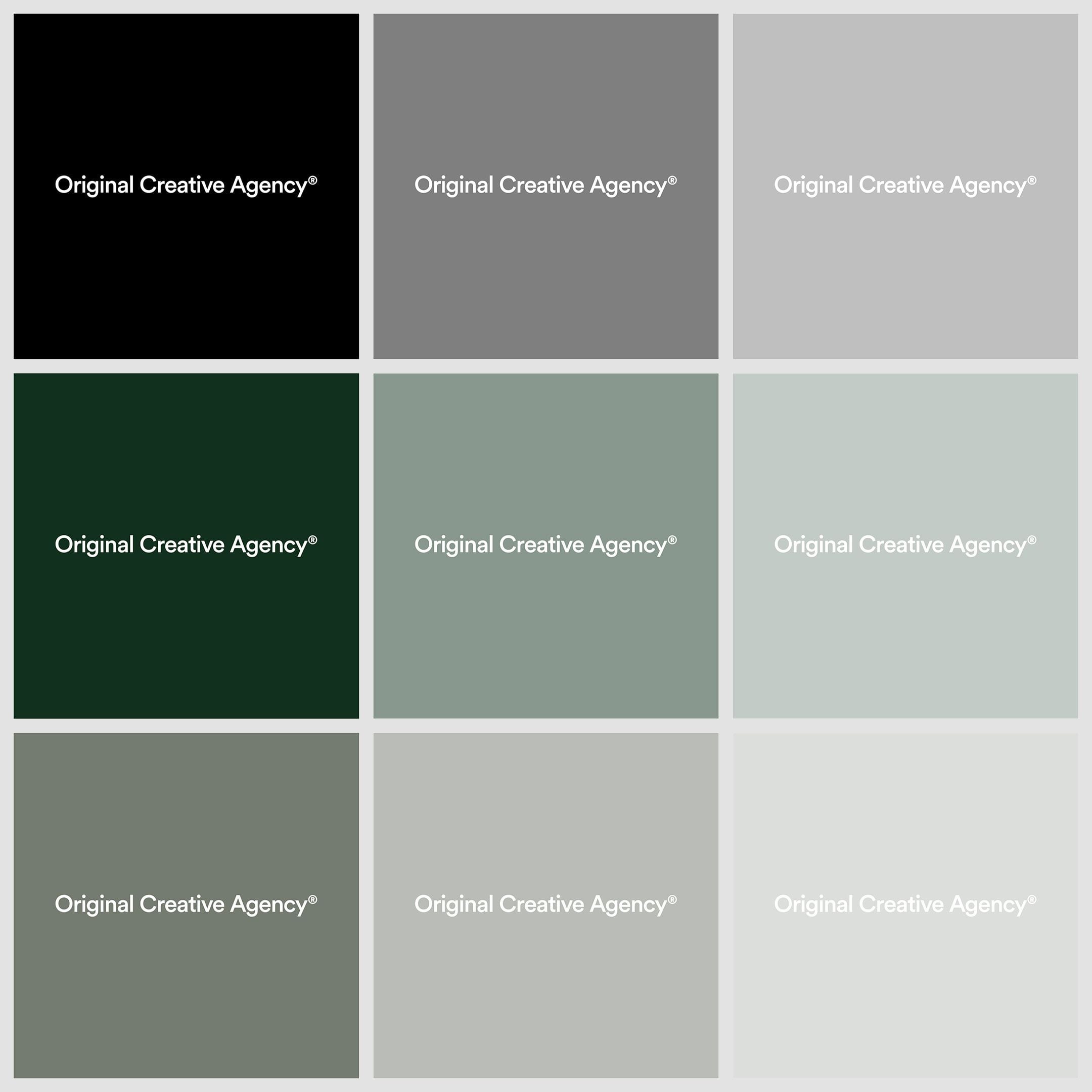 project assets image