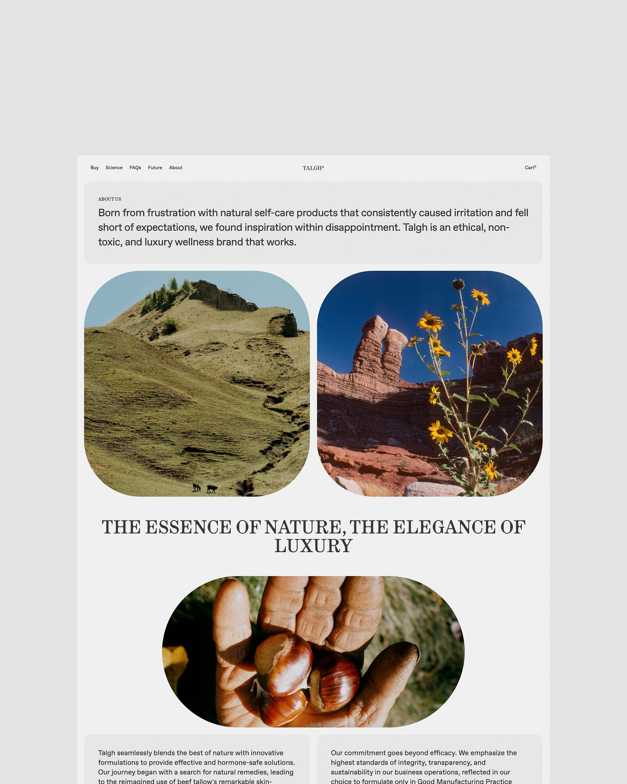 project assets image