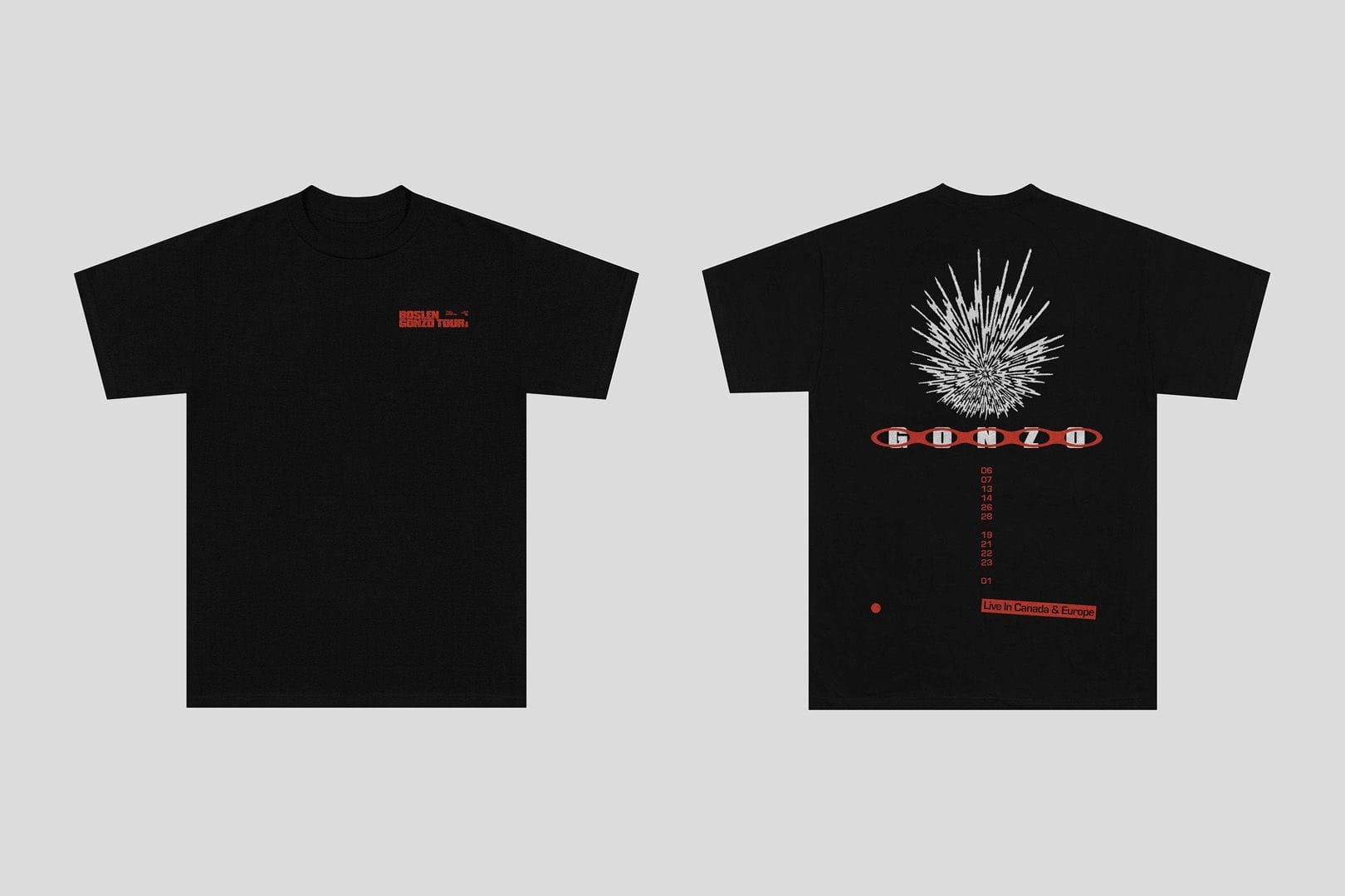 project assets image