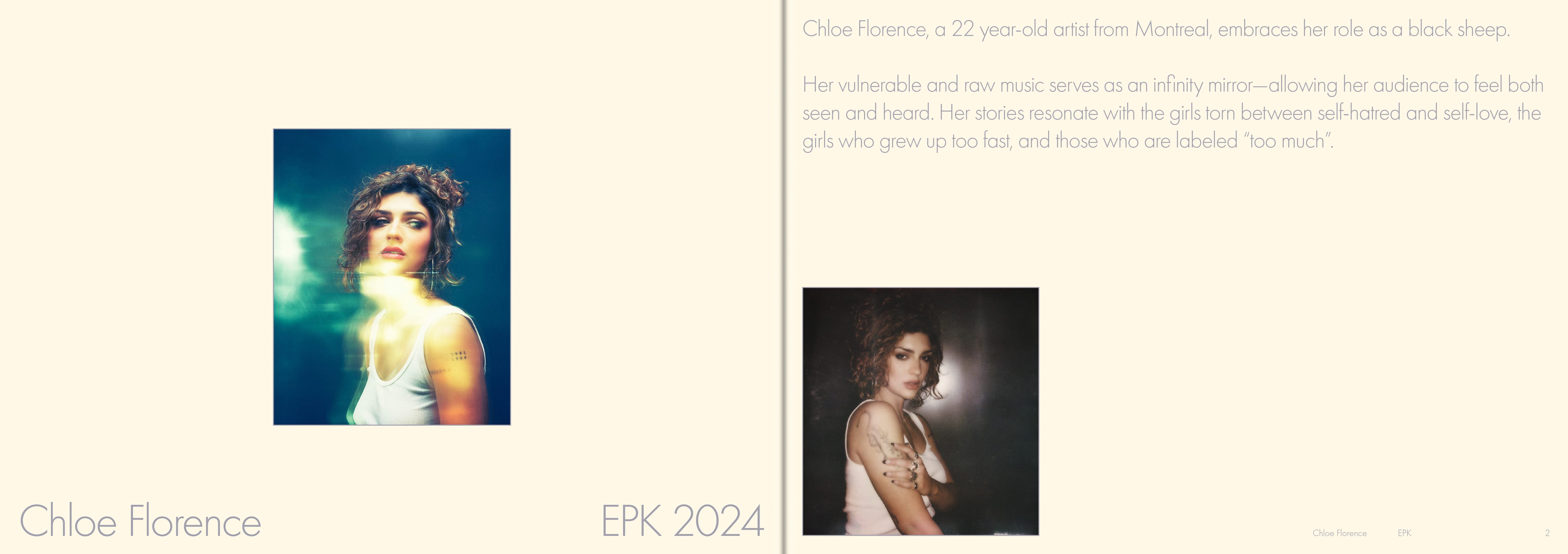 project assets image