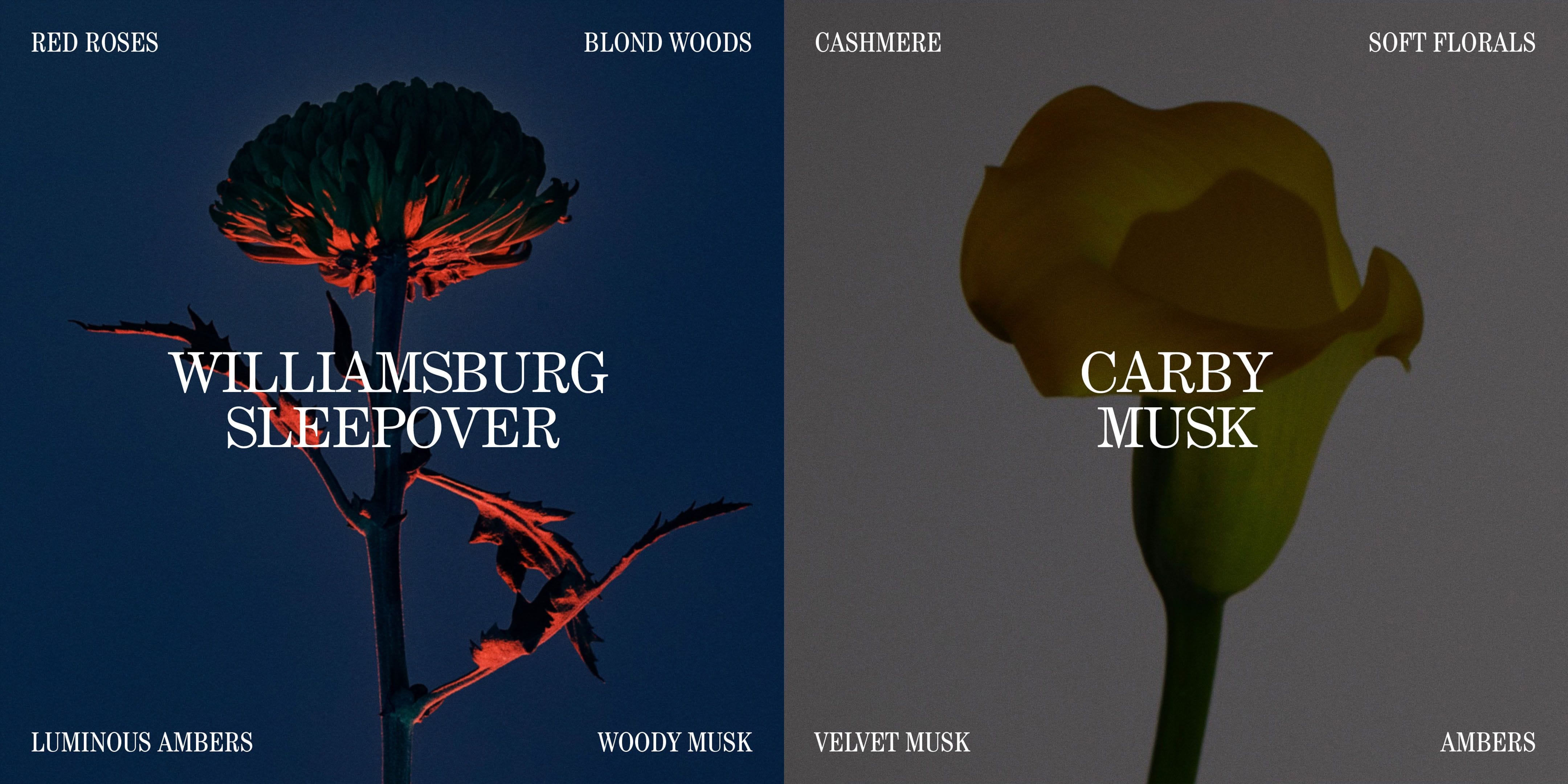 project assets image