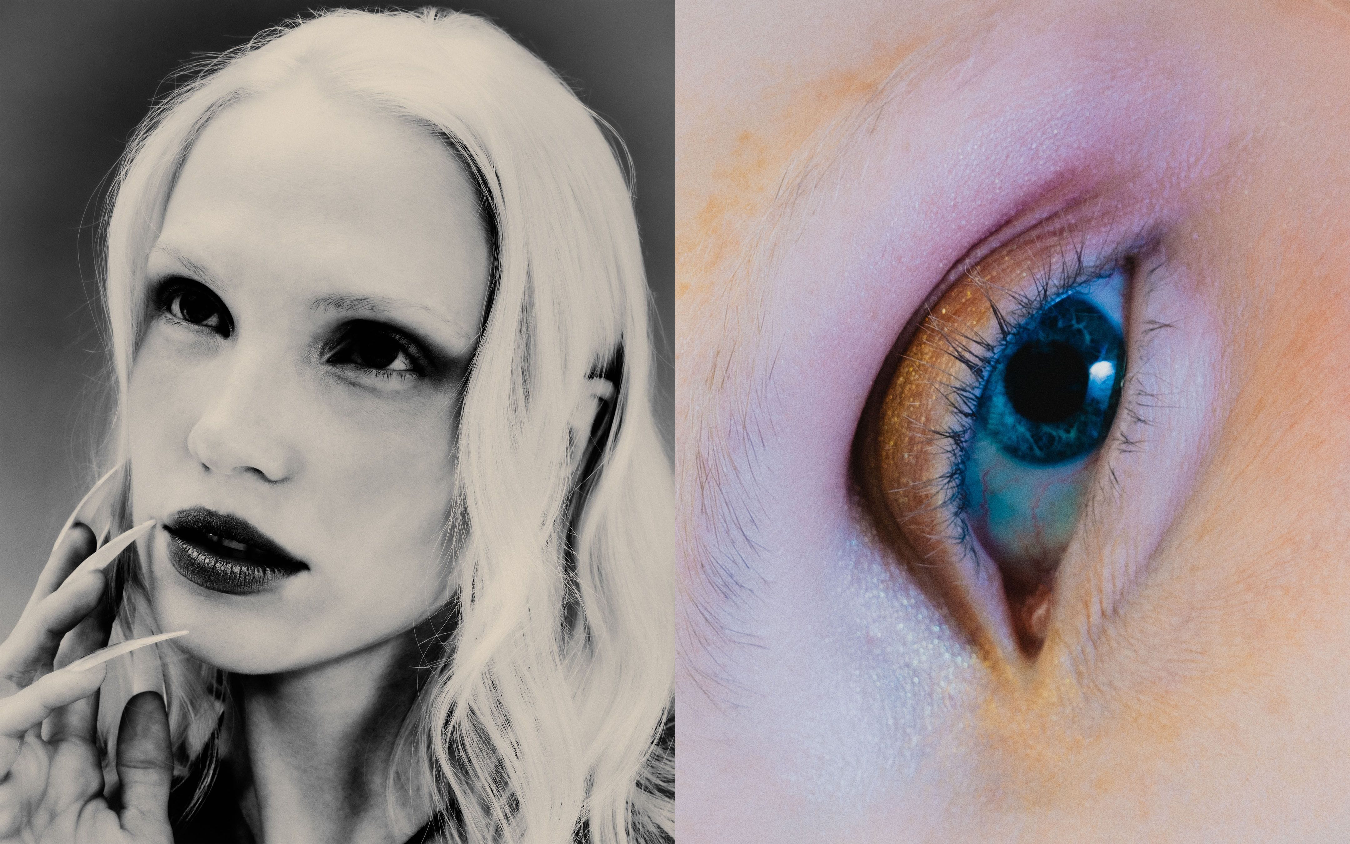 project assets image