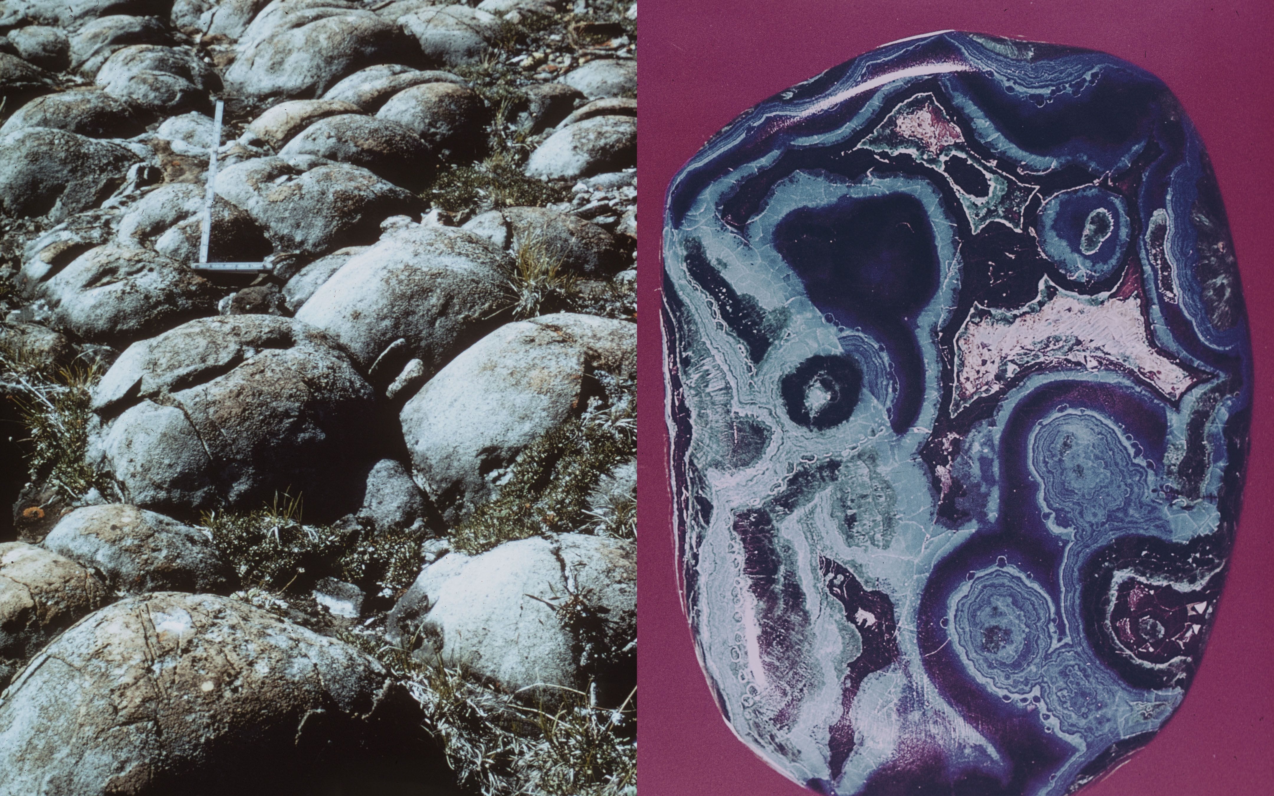 project assets image