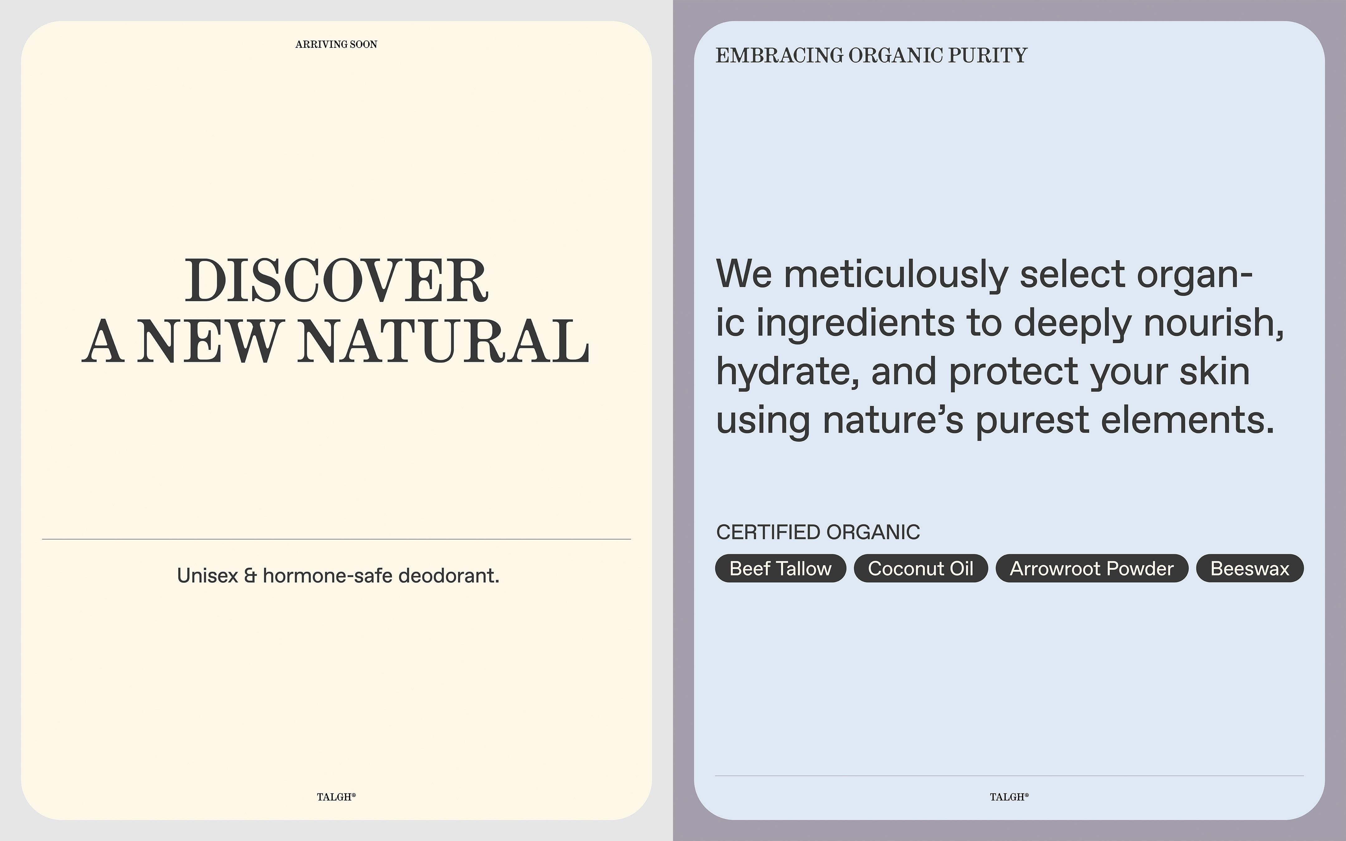 project assets image
