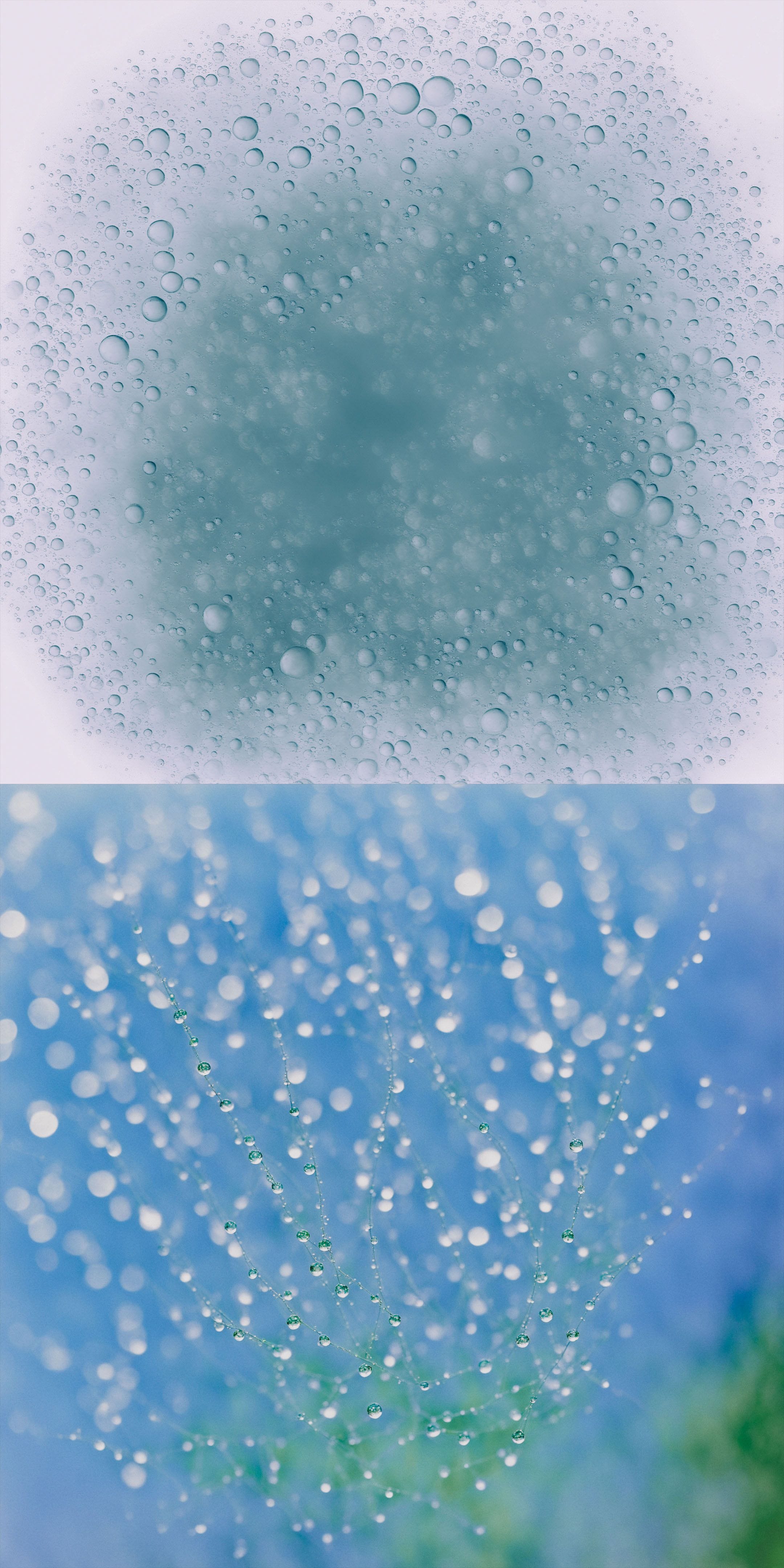 project assets image