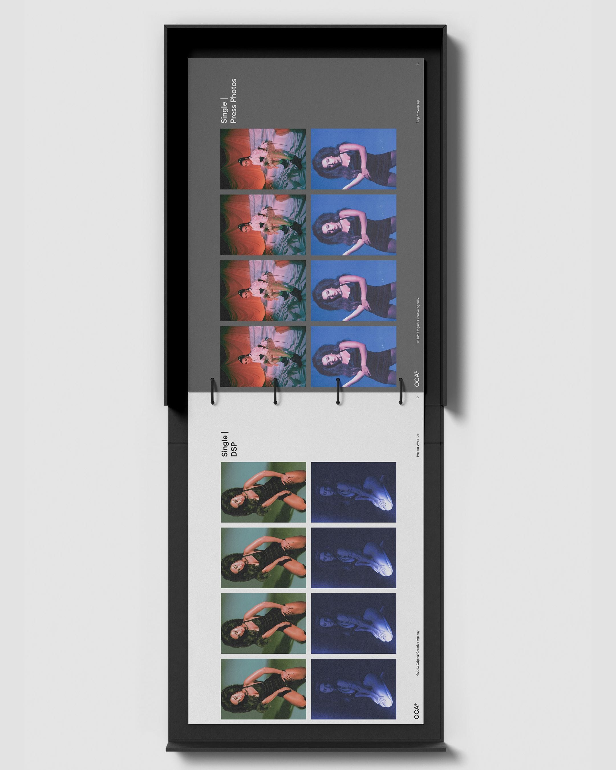 project assets image